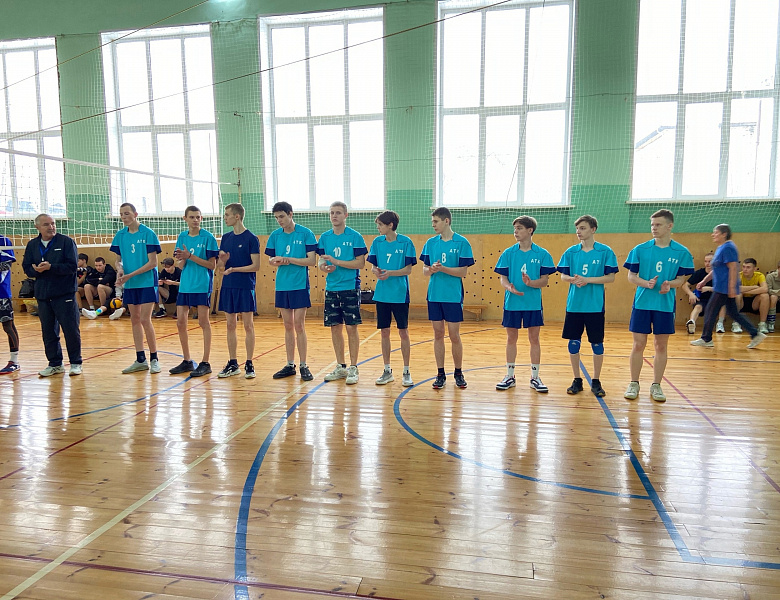 Соревнования по волейболу среди мужских команд