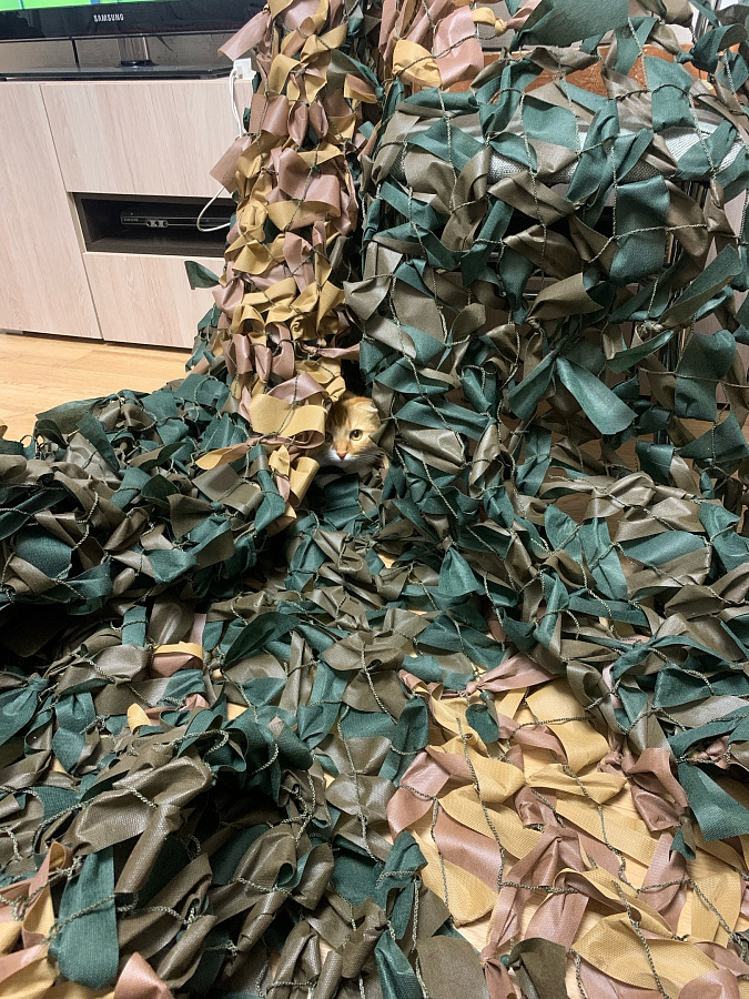 150 квадратных метров
